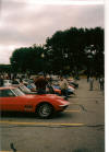 Corvettes lined up